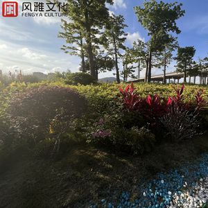 苏晴忘穿内裤坐公交车被揉到视频
